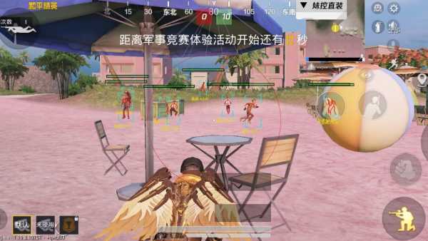 和平精英【EAD内部】辅助